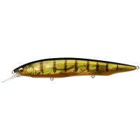 Megabass Kanata +1 3.2m GG Perch