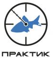 Практик