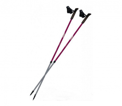 Палки для скандинавской ходьбы Tramp Fitness