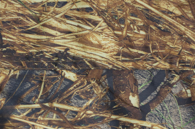 Тент туристический "Берег" 6х6 м ( нового образца )