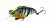 Воблер Megabass Vibration-X Vatalion SS gg wild gill jr