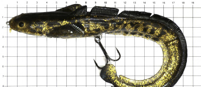 Силиконовая приманка Savage Gear 3D Burbot Shallow 25cm 70gr SS Gold Burbot UV