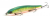 Воблер Megabass Ito-Shiner pm megabass hot shad