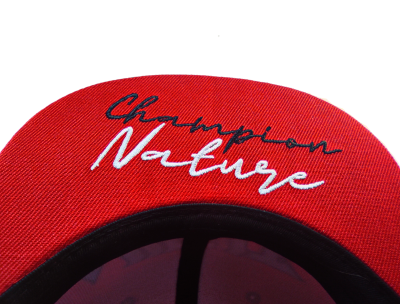 Бейсболка Jig It Snapback Champion Nature Черно-красная