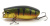 Воблер Lucky Craft Malas Mini Northern Perch