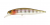 Воблер DUO REALIS JERKBAIT 100SP ADA3058