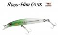 Zipbaits Rigge Slim 60SS  Zipbaits Rigge Slim 60SS
