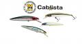 Pontoon21 Cablista 125SP-SMR
