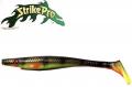 Giant Pig Shad