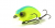 Воблер Yo-Zuri/Duel Dino Crank SD MBCL Воблер Yo-Zuri/Duel Dino Crank SD MBCL