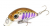 Воблер Yo-Zuri/Duel L Minnow 33S M100 Воблер Yo-Zuri/Duel L Minnow 33S M100