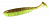 Keitech Easy Shiner 6.5 #401 Green Pumkin/Chartreuse