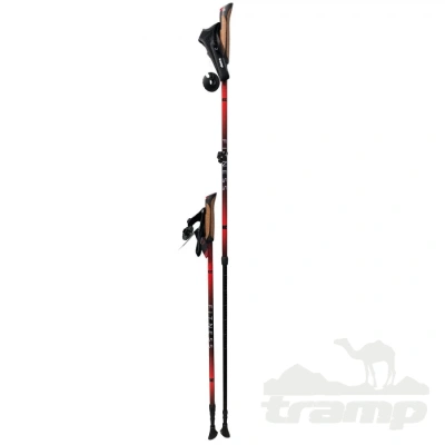 Палки для скандинавской ходьбы Tramp Fitness 
