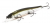 Воблер Megabass Ito-Shiner m stardust shad ob Воблер Megabass Ito-Shiner m stardust shad ob